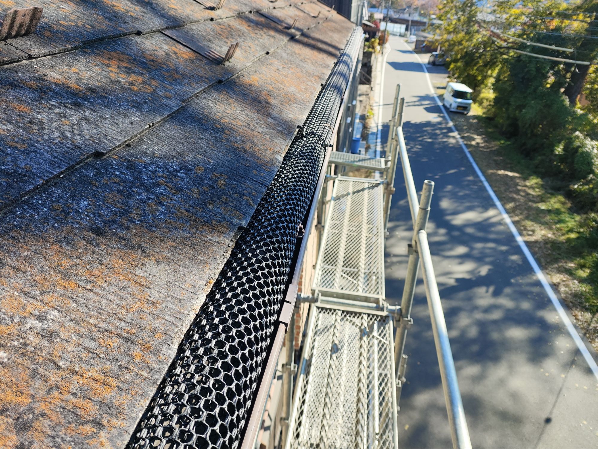 落ち葉ネットを全体に取り付けました。