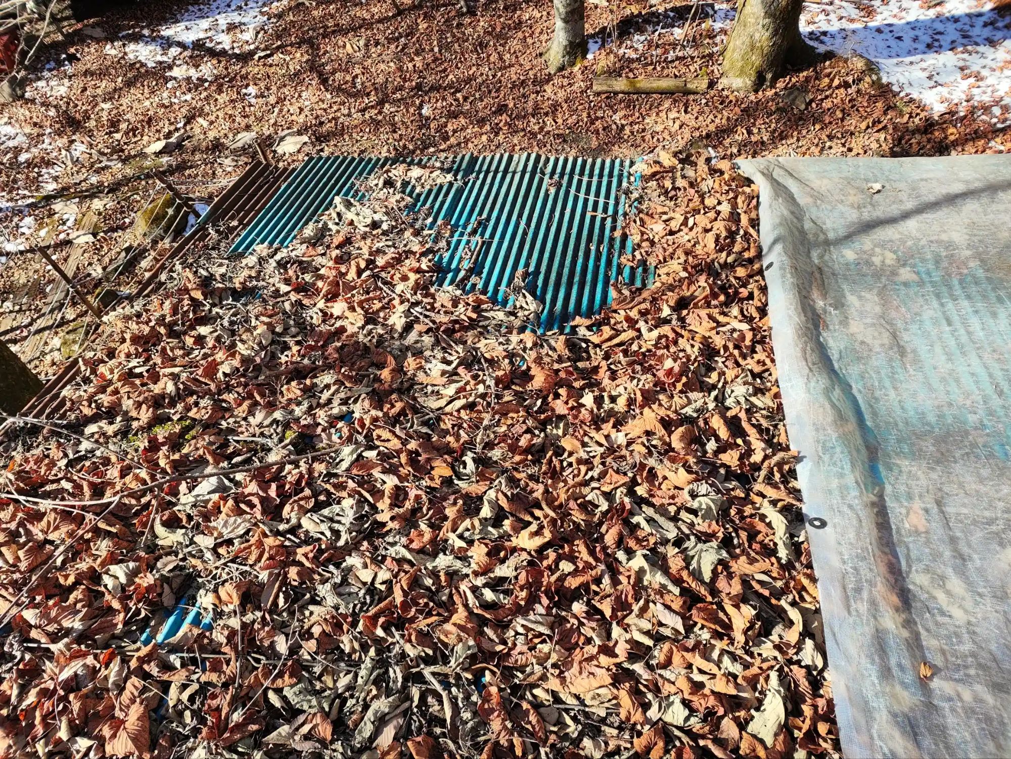 落ち葉で埋もれている屋根