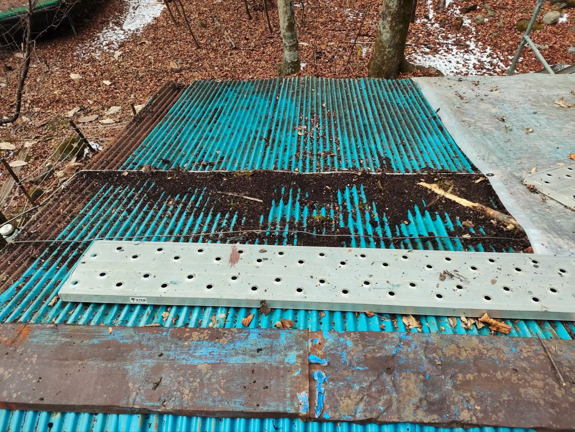 屋根上の落ち葉清掃