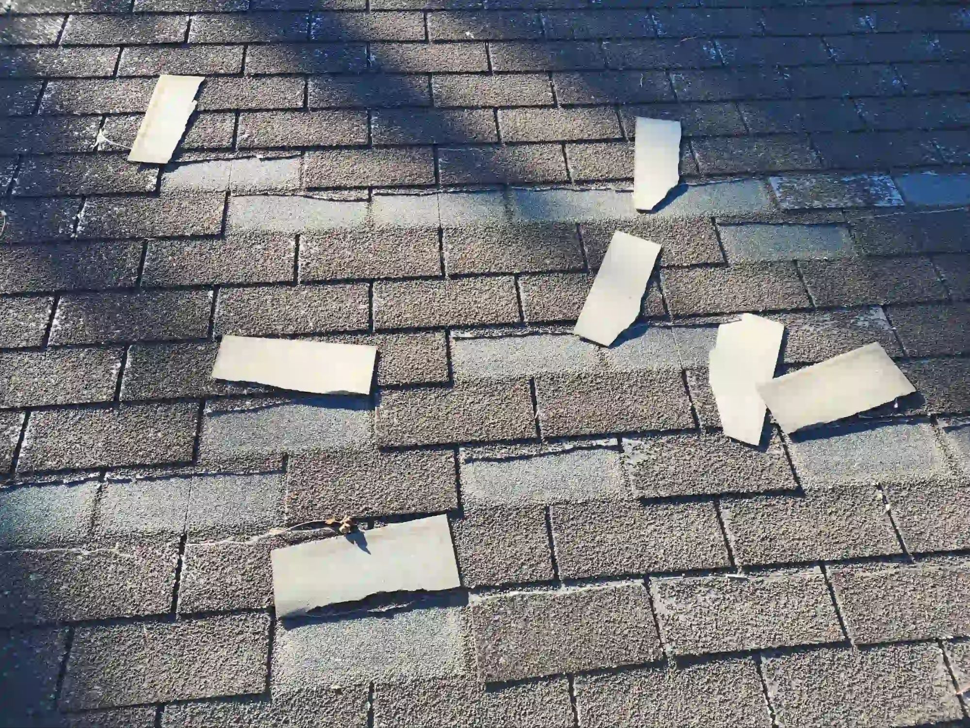 既存屋根の剥れて落ちてしまった状態